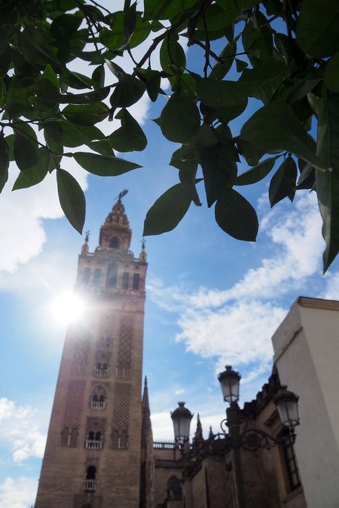 La Giralda (Sevilla)