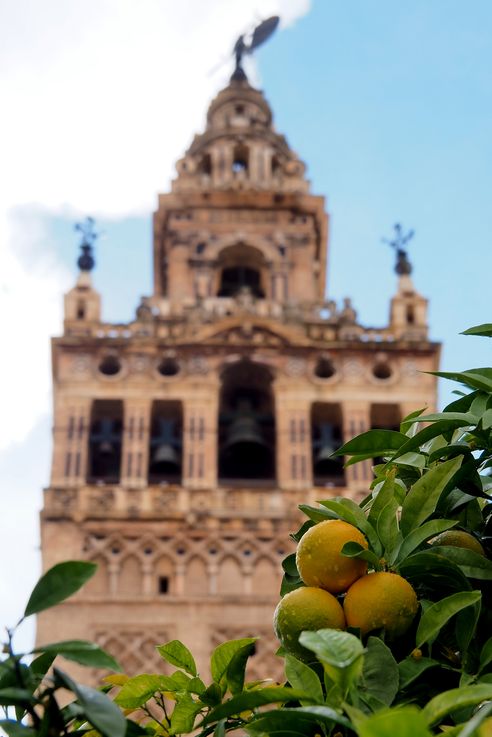 La Giralda (Sevilla)