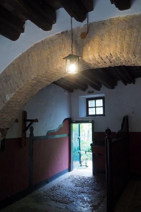 Palacio de las Dueñas (Seville)