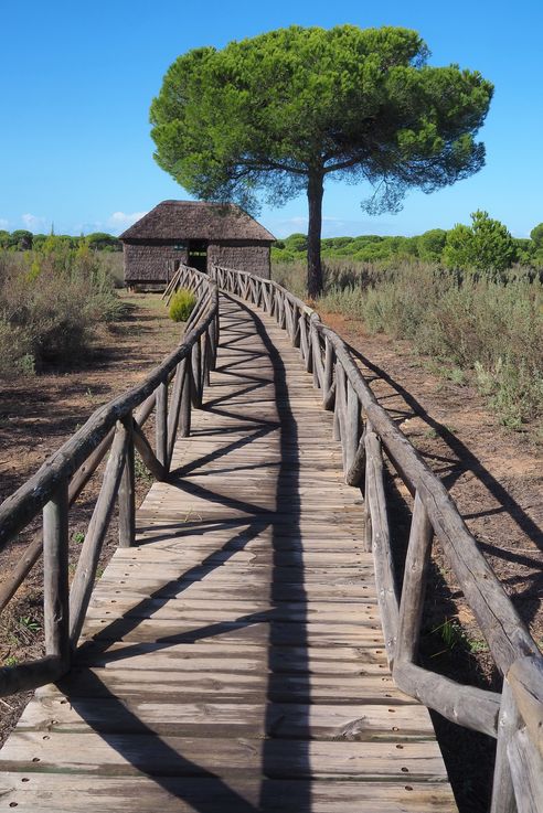 Parque Nacional de Doñana