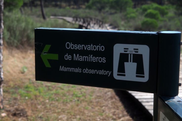 Parque Nacional de Doñana