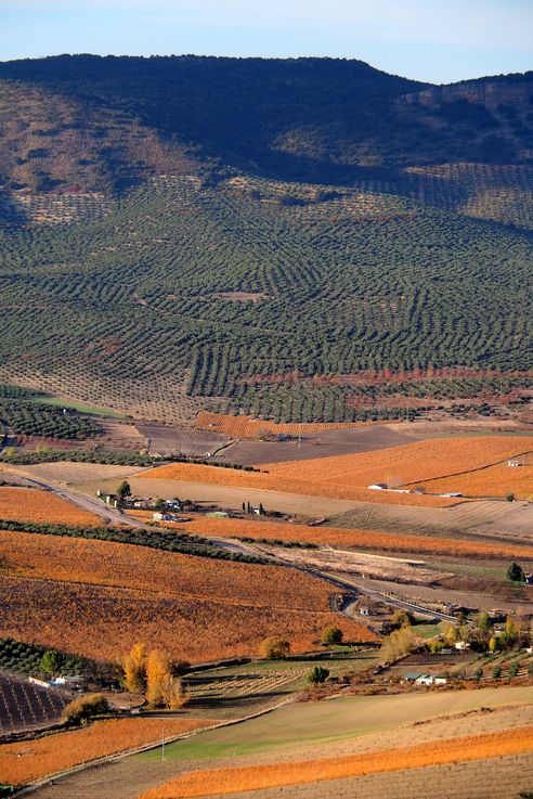 Plain of the Fortress of La Mota