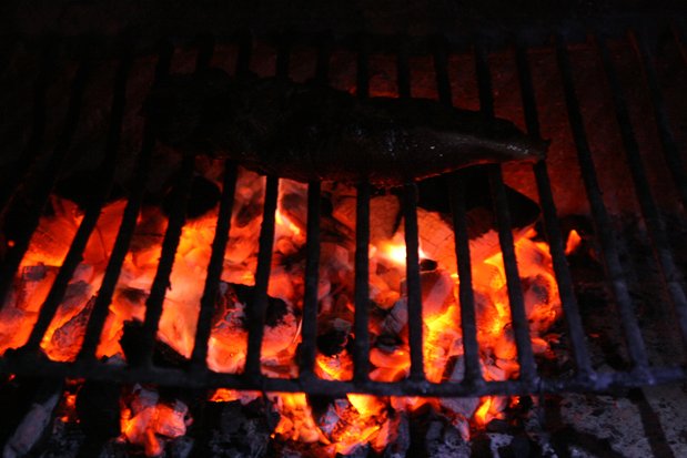 Camping en la Península Valdés