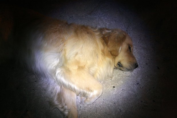 En la Península Valdés