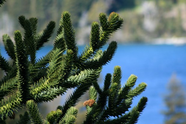 San Carlos de Bariloche