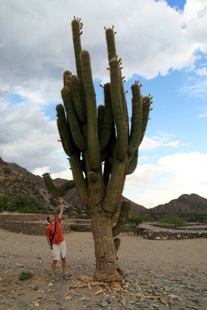 Argentina 2009