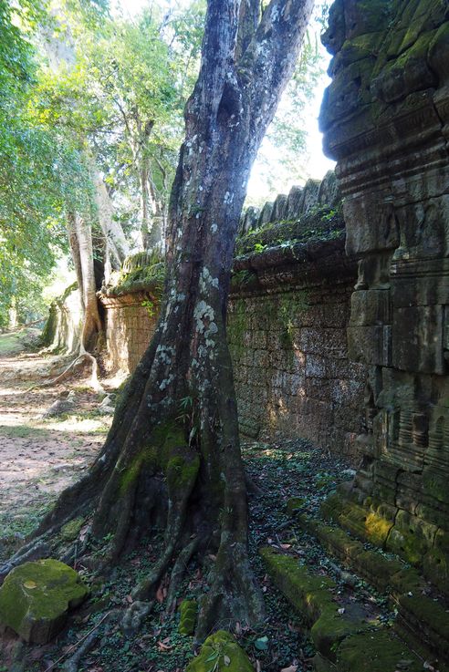 Le temple d'Angkor Preah Khan