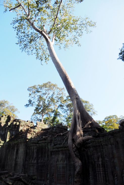 Le temple d'Angkor Preah Khan