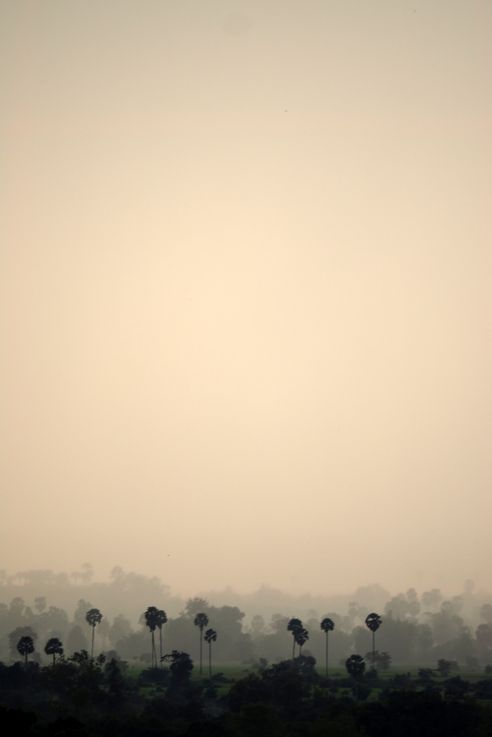 Coucher de soleil sur la forêt de Angkor