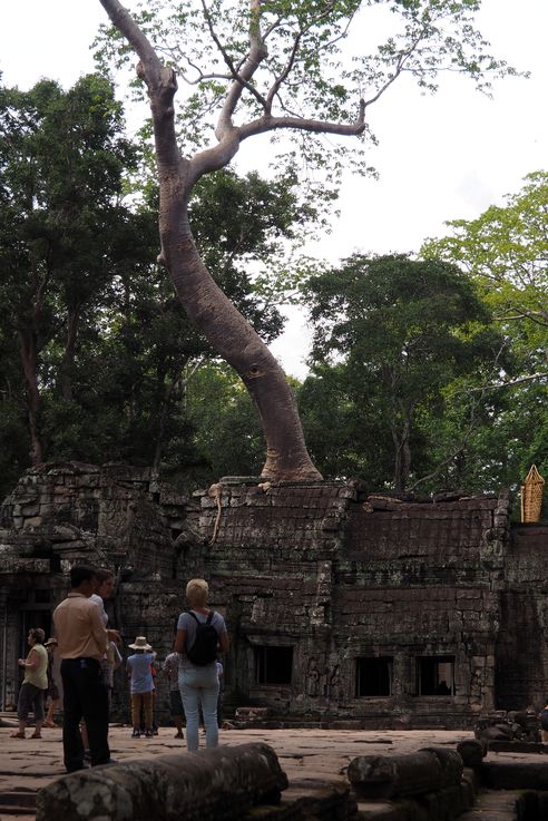 El templo de Angkor Ta Prohm