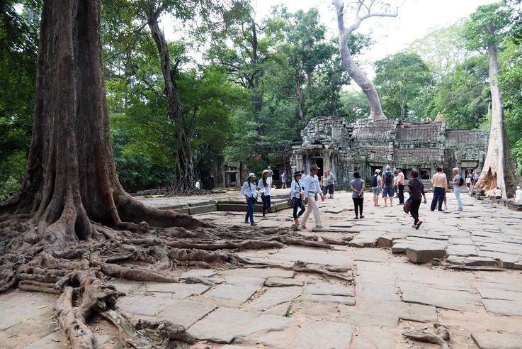 El templo de Angkor Ta Prohm