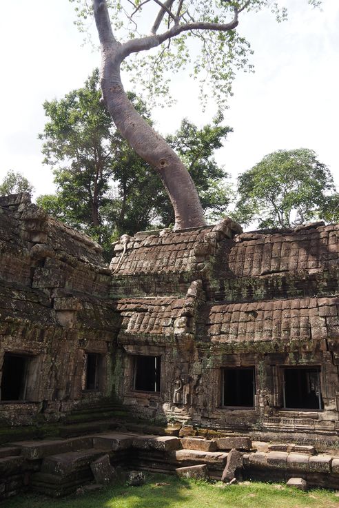 El templo de Angkor Ta Prohm