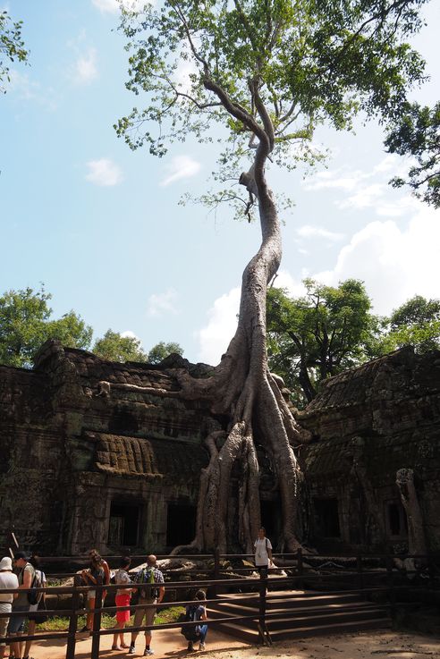El templo de Angkor Ta Prohm