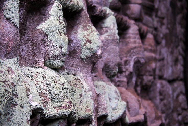 El templo de Angkor Ta Prohm