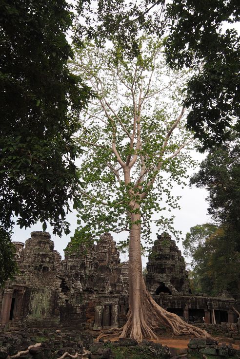 El templo de Angkor Banteay Kde