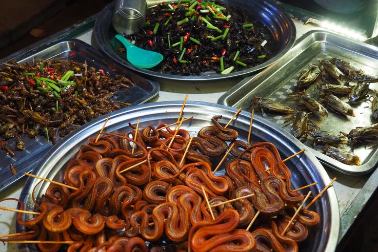 Serpientes y cucarachas en el mercado de Siem Reap