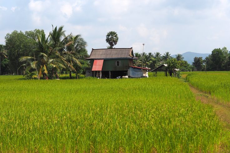 Dans la ville de Kep