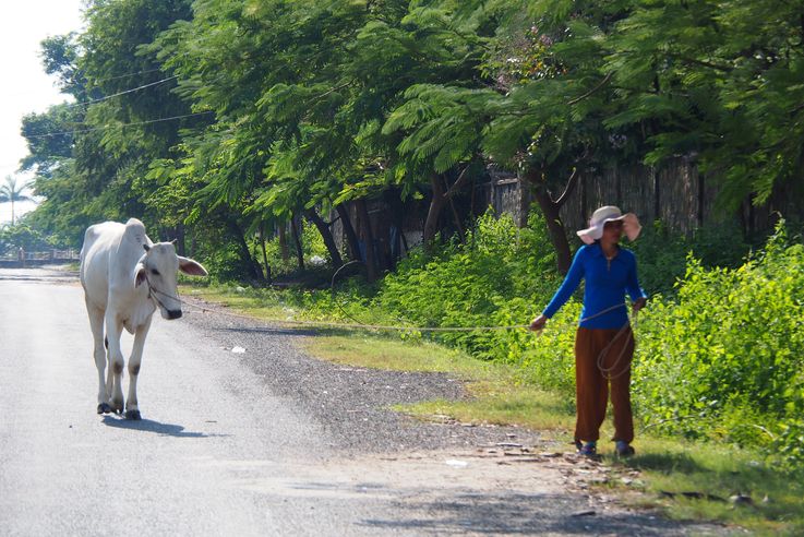 Dans la ville de Kep