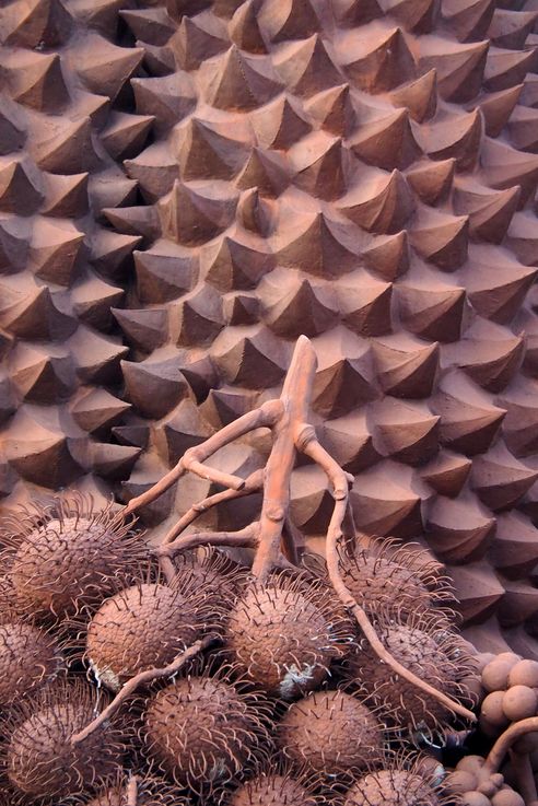 Le rond-point de fruit de Kampot