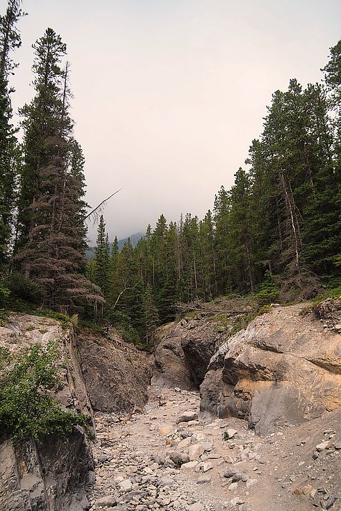 Sendero rocoso en Grotto Canyon.