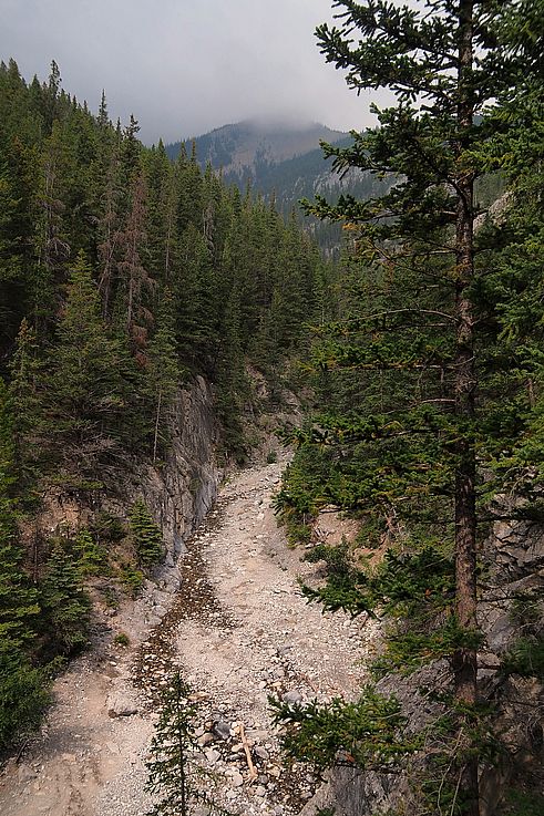 Lecho de río seco en el sendero Grotto Canyon.