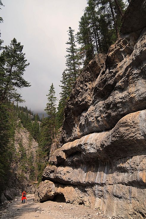 Pared rocosa a lo largo del sendero de Grotto Canyon.
