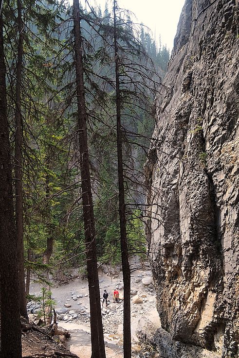 Acantilado y bosque a lo largo del sendero de Grotto Canyon.
