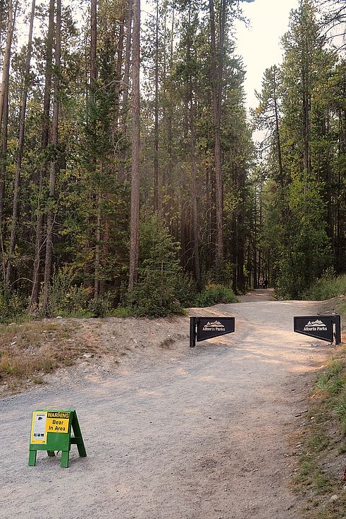 Señal de advertencia sobre la presencia de osos en el sendero de Grassi Lakes.