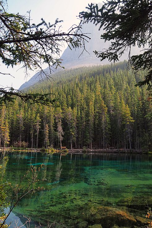Reflejo del bosque y la montaña en las aguas turquesas del lago Grassi, en Canmore.