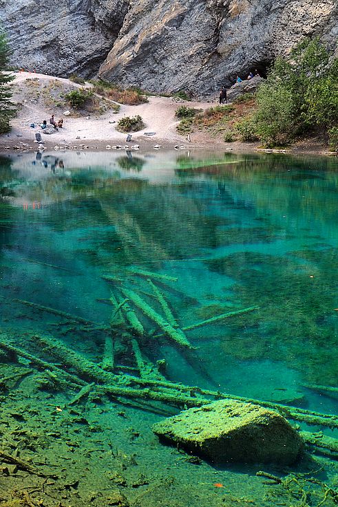 Troncos sumergidos en las aguas turquesas del lago Grassi, cerca de Canmore.
