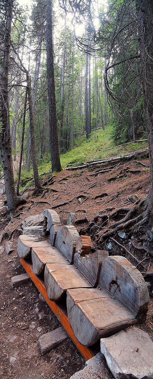 Banco de madera en el sendero de Grassi Lakes en Canmore.
