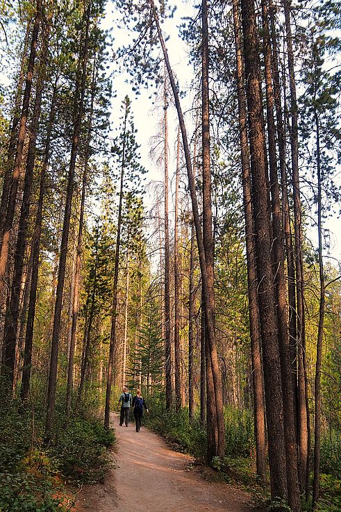 Senderistas en el sendero de Grassi Lakes en Canmore.
