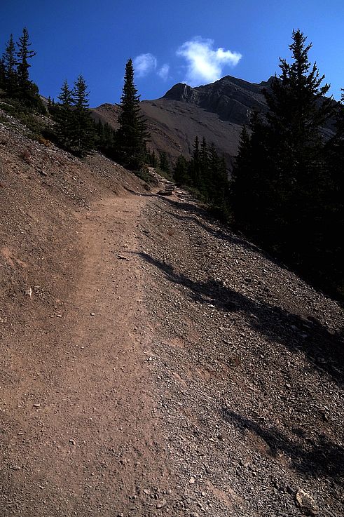Sendero de excursionismo que conduce a la cima de Ha Ling Peak en el valle de Kananaskis.