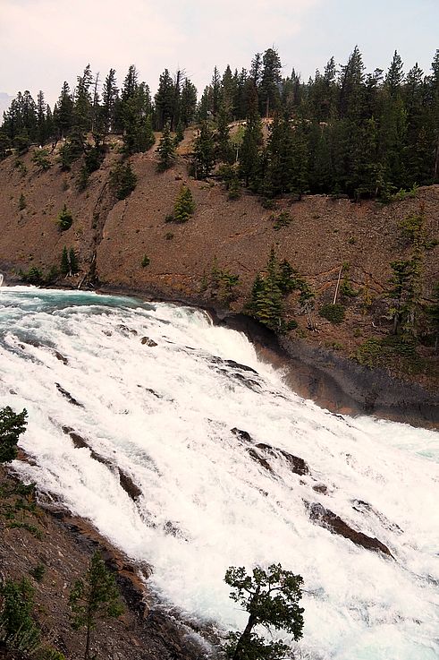 Chutes de la rivière Bow dans le parc national Banff.