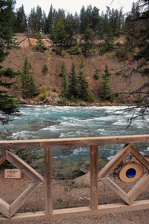 Rapides de la rivière Bow à Banff.