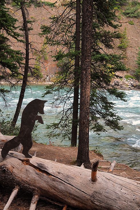 Sculpture de loup près des chutes Bow à Banff.