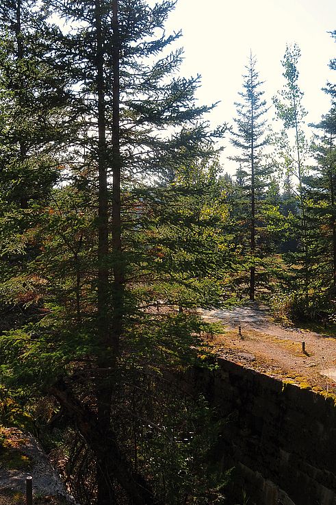 Ruines de la ville minière de Bankhead dans le parc national Banff.