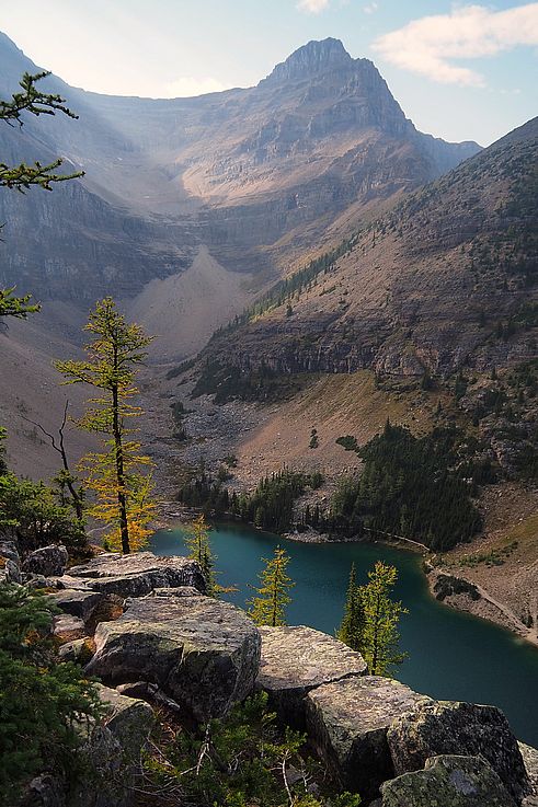 Vue sur le lac Agnes et les mélèzes depuis le sentier du Big Beehive, parc national de Banff.