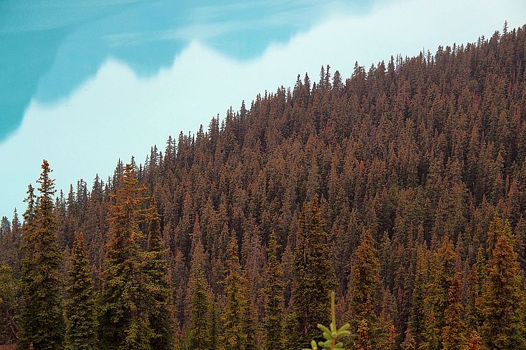 Photo de CANADA