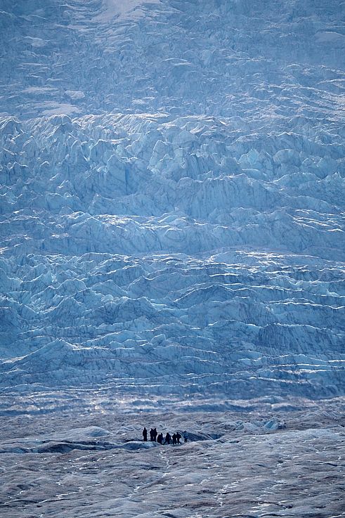 Randonneurs sur le glacier Athabasca, dans le parc national Jasper.