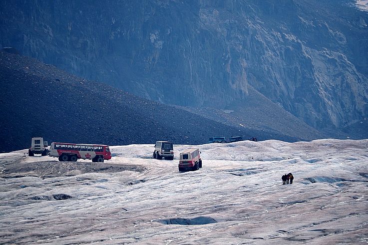 Véhicules tout-terrain Ice Explorer sur le glacier Athabasca dans le parc national Jasper.