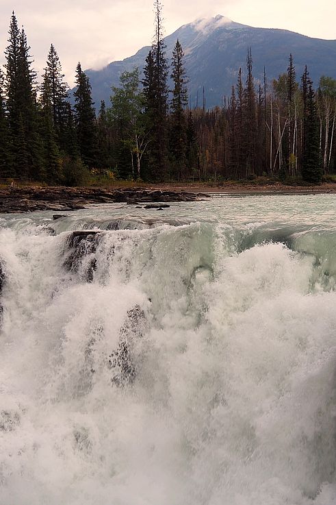 Chutes Athabasca dans le parc national Jasper.