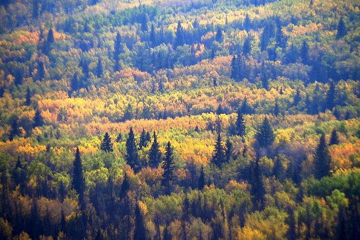Photo de CANADA