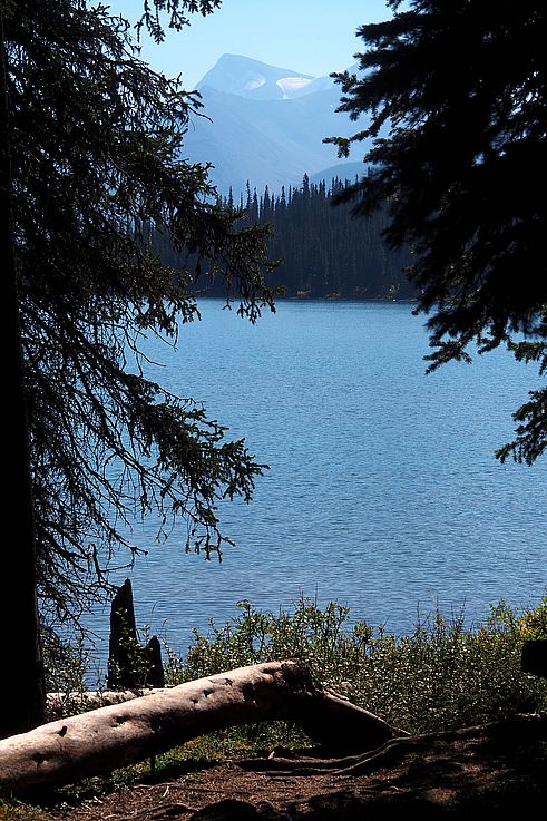 Lac Maligne et montagnes dans le parc national Jasper.