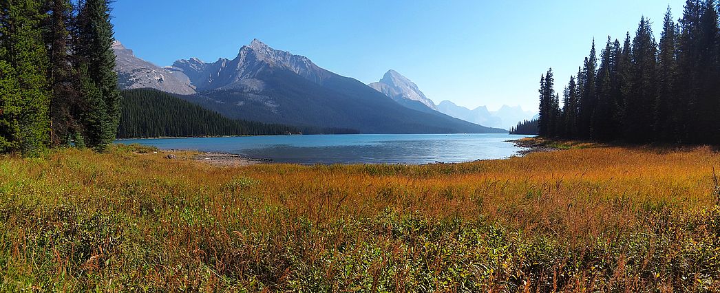 Lac Maligne dans le parc national Jasper en automne.