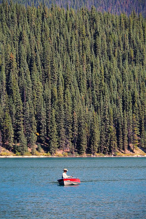 Pêcheur en barque sur un lac du parc national Jasper devant une forêt de conifères.
