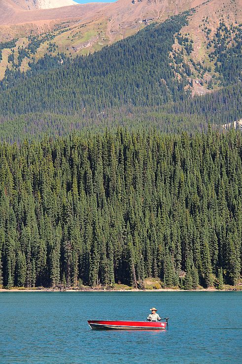 Barque rouge sur le lac Maligne face à la forêt et aux montagnes.