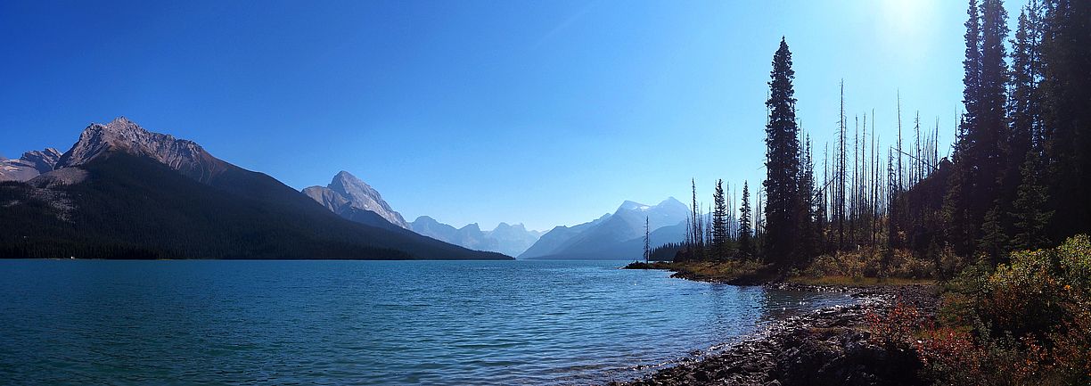 Lac Maligne et montagnes le long du Maligne Lake Shore Trail dans le parc national Jasper.