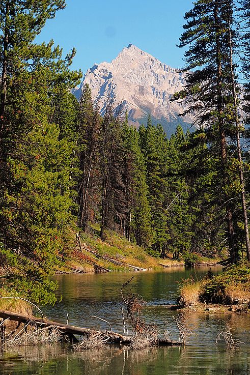 Montagnes surplombant la rivière Maligne le long du sentier Maligne Pass Trail dans le parc national Jasper.