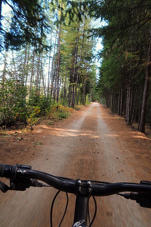 Sentier cyclable du Kettle Valley Rail Trail à travers la forêt du Myra Canyon.